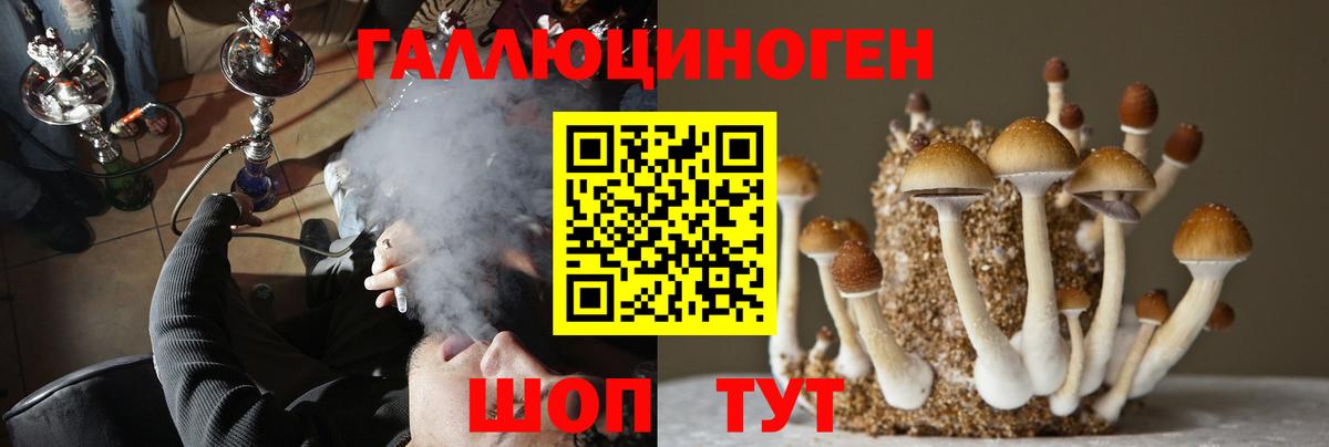 Псилоцибиновые грибы MAGIC MUSHROOMS Отрадное
